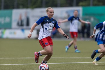 Bild 326 - wBJ Hamburger SV - FC Suederelbe : Ergebnis: 9:0